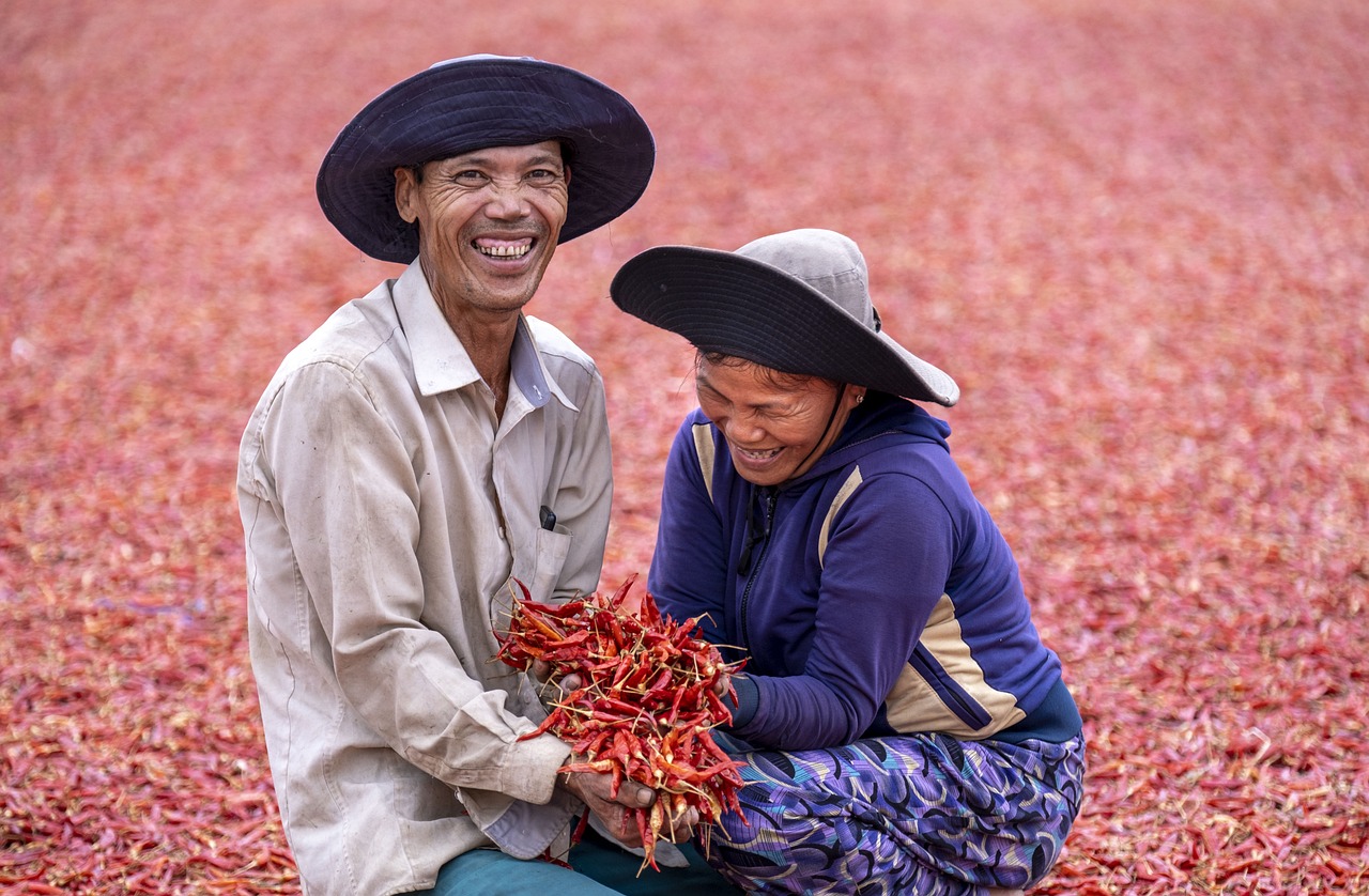 The Benefits of Urban Farming